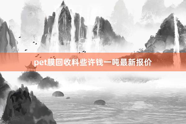 pet膜回收料些许钱一吨最新报价