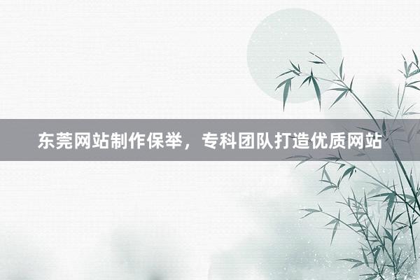 东莞网站制作保举，专科团队打造优质网站